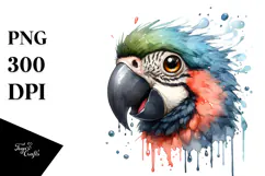Cute Parrot Portrait, Transparent PNG Product Image 1