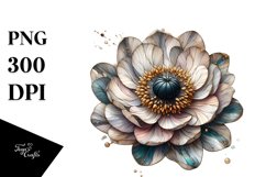 Detailed Stained Anemone | Clipart Product Image 3