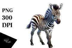 Baby Zebra with Big Eyes, PNG Product Image 1