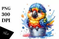 Colorful Baby Macaw in Bucket | Clipart Product Image 1