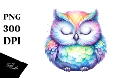 Colorful Sleeping Owl Clipart Product Image 1