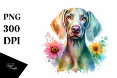 Colorful Watercolor Weimaraner Clipart Product Image 1