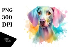 Playful Watercolor Weimaraner Clipart Product Image 1