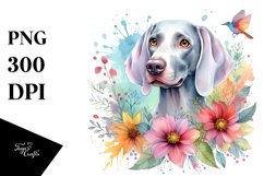Whimsical Watercolor Weimaraner Clipart Product Image 3