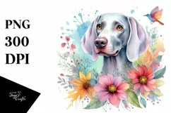 Whimsical Watercolor Weimaraner Clipart Product Image 3
