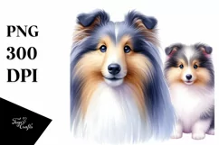 Fluffy Watercolor Shetland Sheepdog Clipart Product Image 3