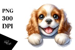 Funny Cute Cocker Spaniel Baby Product Image 1