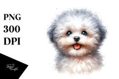 Happy Bichon Frise with Big Eyes PNG Product Image 1