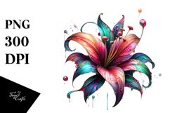 colorful Product Image 1