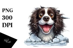 Crazy Springer Spaniel Clipart Product Image 1