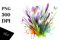 Crocus with Watercolor PNG Product Image 1