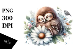 Digital Watercolor Baby Owl Sleeping PNG Product Image 1