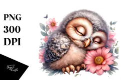 Digital Watercolor Baby Owl Sleeping PNG Product Image 1