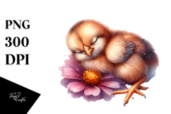 Baby Chicken Sleeping on Flower PNG Product Image 1