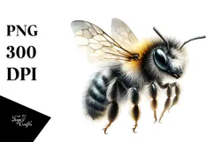 Baby Bee with Big Eyes, PNG Product Image 1