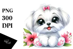 Cute Maltese Dog with Big Eyes, PNG Product Image 1