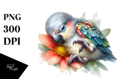 Baby Parrot Sleeping on Flower PNG Product Image 1
