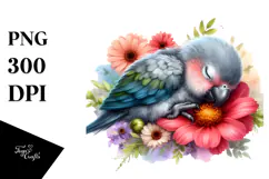 Digital Watercolor Baby Parrot on Flower Product Image 1