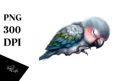 Cute Baby Parrot Sleeping, Transparent PNG Product Image 1