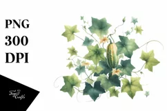 Watercolor Ivy Gourd | Sublimation | Clipart Product Image 1
