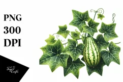 Watercolor Ivy Gourd | Sublimation | Clipart Product Image 1