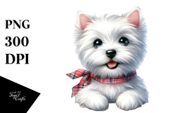 Baby West Highland White Terrier with Big Eyes PNG Product Image 1