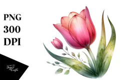 Tulip Flower, Transparent PNG Product Image 1