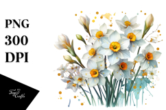 Narcissus Splash PNG Product Image 1