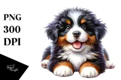 Cute Bernese Mountain Dog, Transparent PNG Product Image 1