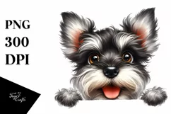 Funny Miniature Schnauzer with Big Popping Eyes | Product Image 3