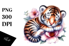 Sublimation|Clipart Product Image 1