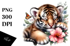 Cute Baby Tiger Sleeping on Flower, PNG Product Image 1