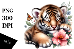 Sublimation|Clipart Product Image 1