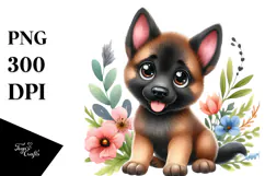 Baby Malinois with Big Eyes PNG Product Image 1