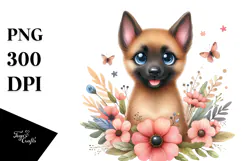 Baby Malinois with Big Eyes PNG Product Image 1