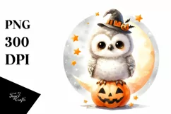 Cute Baby Owl on Star PNG Product Image 1