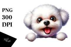 Enthusiastic Funny Bichon Frise | Sublimation | Clipart Product Image 1