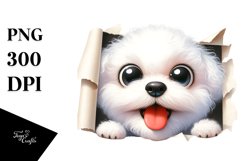 Crazy Looking Bichon Frise | Sublimation | Clipart Product Image 1