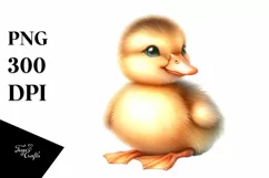 Cute Baby Duck High Details PNG Product Image 1