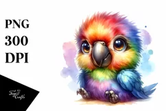 Colorful Baby Macaw Rainbow | Sublimation | Clipart Product Image 3