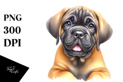 Baby Mastiff PNG Product Image 1