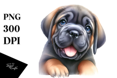 Baby Mastiff PNG Product Image 1