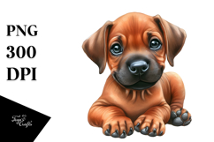 Baby Rhodesian Ridgeback PNG Product Image 1