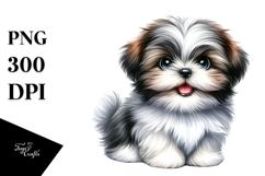 Baby Shih Tzu with Big Eyes PNG Product Image 1