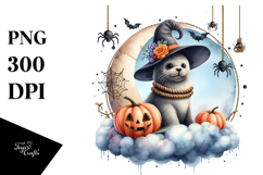 Seal on Cloud, Transparent PNG Product Image 1