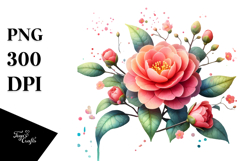 Camellia Watercolor PNG Product Image 1