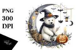 Polar Bear on Half Moon, Transparent PNG Product Image 1