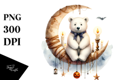 Polar Bear on Half Moon, Transparent PNG Product Image 1