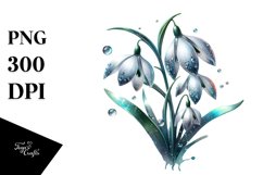 Detailed Snowdrop | Clipart Product Image 3