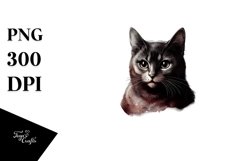 Sublimation|Clipart Product Image 3